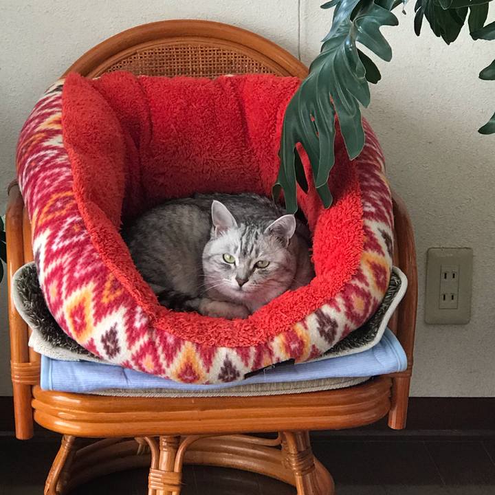 E20d3b2d d139 460f 8753 e33934fcfb92 1579932285596