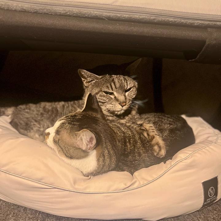 E20d5b46 235d 4b69 9827 2bb157e604b0 1761223877297