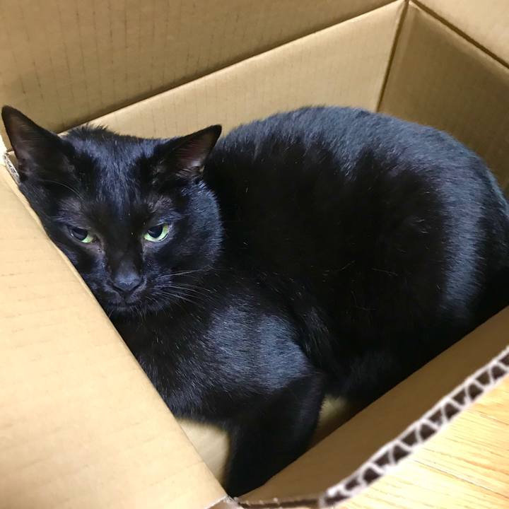 E20d6c60 1f8f 4a24 b3d1 b584ce9f4b31 1539684149017