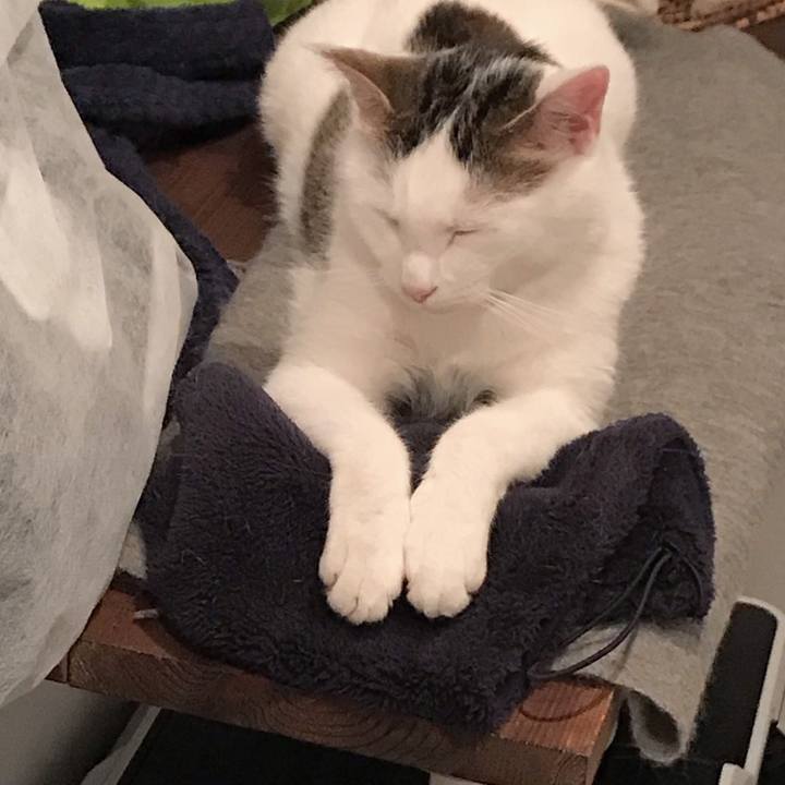 E20e0db8 84a1 42b8 a42d d6ccd8688405 1557233995967