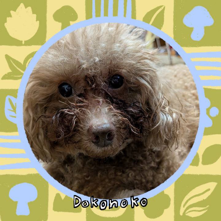 E20e18e1 0f4a 47b6 aa8a ddfae6c28c34 1761911524172