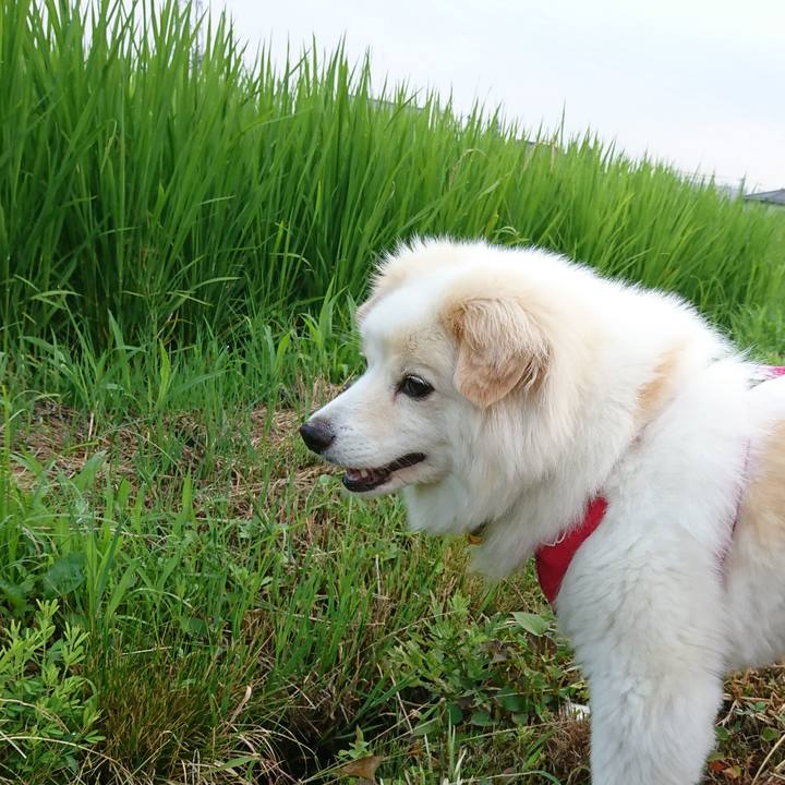 E20e2343 5091 4939 97c2 8009ecf9e676 1532036600315