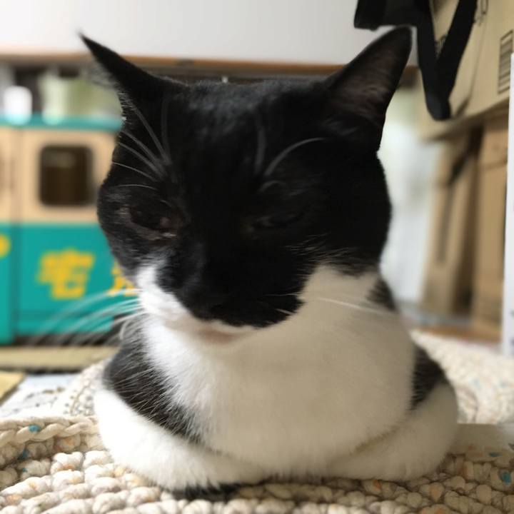 E20e69de 71df 461d 92aa c95f8de15768 1594651165846