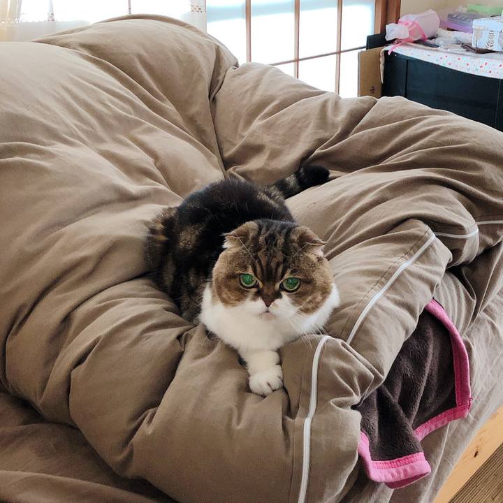 E20e9d01 2719 436d a447 ad6db6b954d8 1583384087089