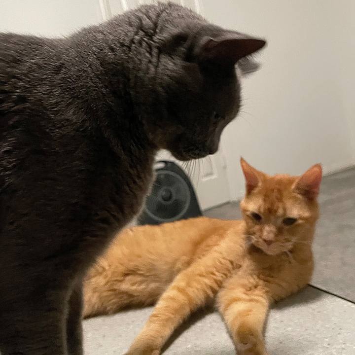 E20ea09f 65eb 437f 8c91 ff1873c9d839 1697156480596