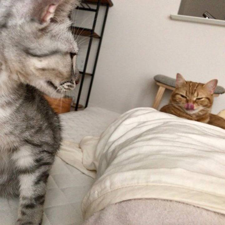 E20eb85a aad3 4d52 b8d6 17c033efd484 1531090463028