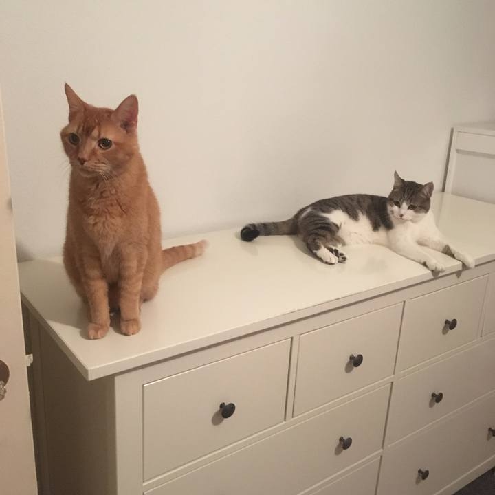 E20eb86a 27af 45a5 a33f d749ce0a0c64 1648565280125