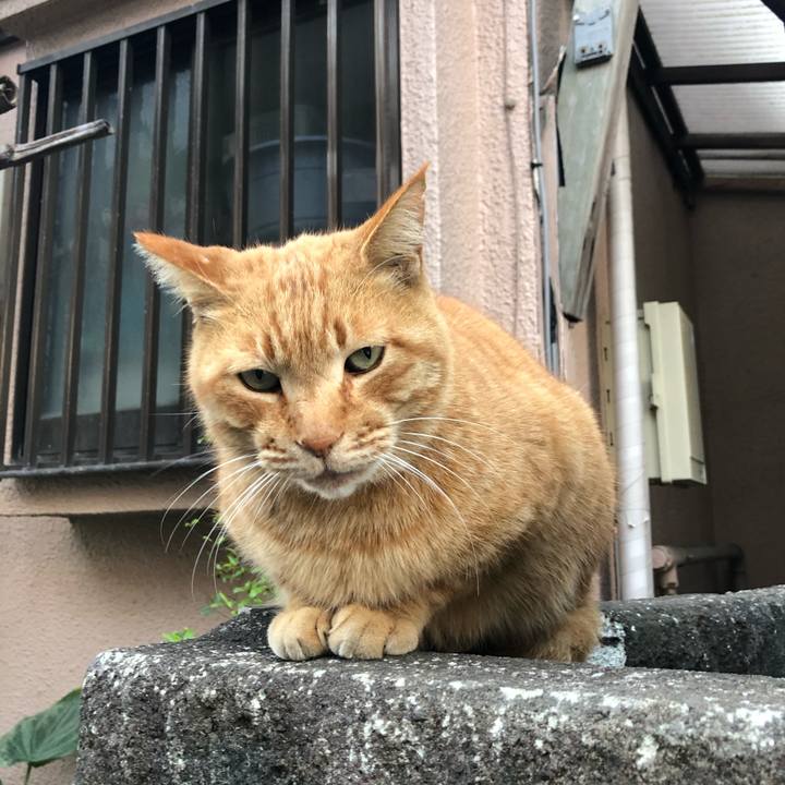 E20ec627 7bee 4483 aae4 dc4fcb822871 1609893220558