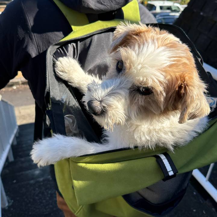 E20ecdfc e93e 4860 8b58 7767a9b0e5d2 1767444597649