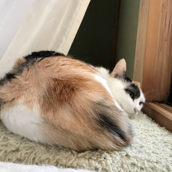 E20ed3e2 0beb 41f2 a25c 5f35cd963bb4 1534171679118