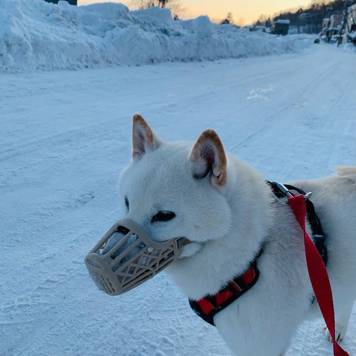 E20ef7d1 5b9a 4e8a 926a 7f42e5c50d12 1611723484644