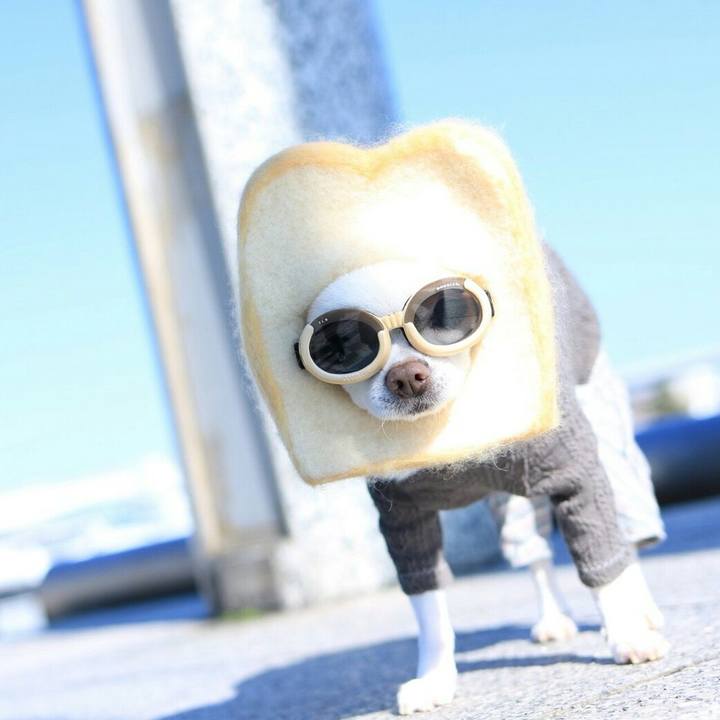 E20f499d 166e 4c01 bb49 a49d19ec5e23 1509696872106