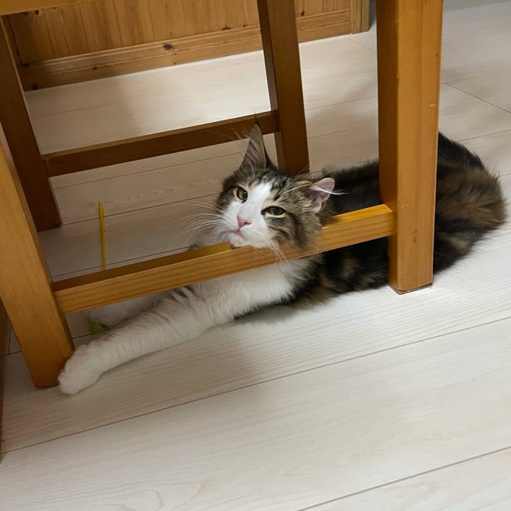 E20f5221 a19f 4337 b13a a10c7be72a62 1636753655999