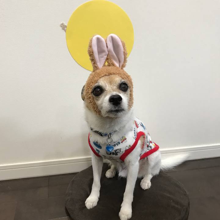 E20f61c8 705b 446a afd4 a4da9c5ea8fe 1632218941909