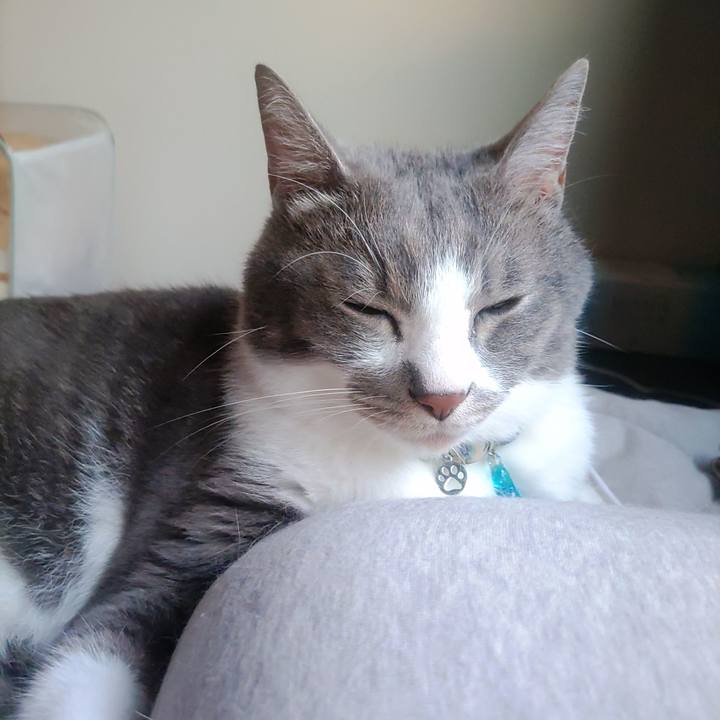 E20f66fa 4637 417b b360 3e11f9c5246f 1689716110076