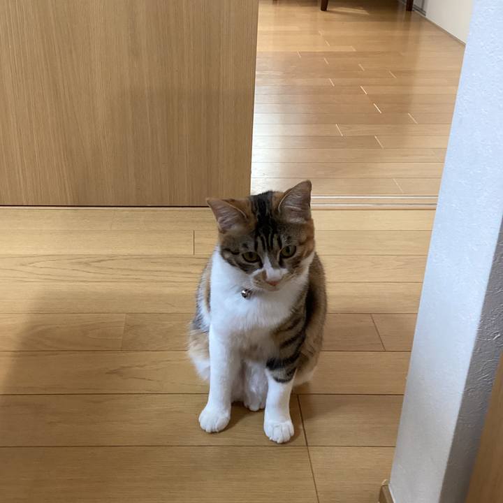 E20f7656 a17f 4f39 84e3 1431d267eda9 1646907279479