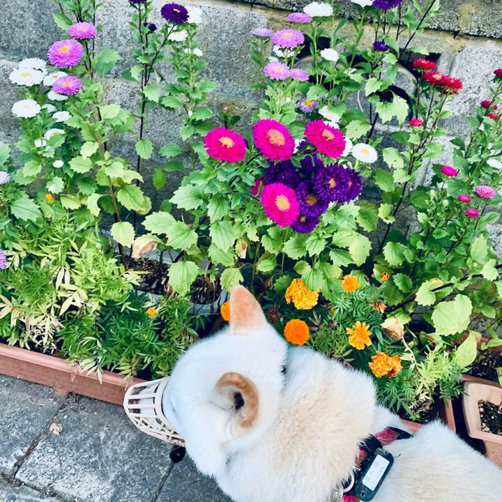 E20fa2a9 3b6b 4da5 9fd1 650328cb983e 1598217018522