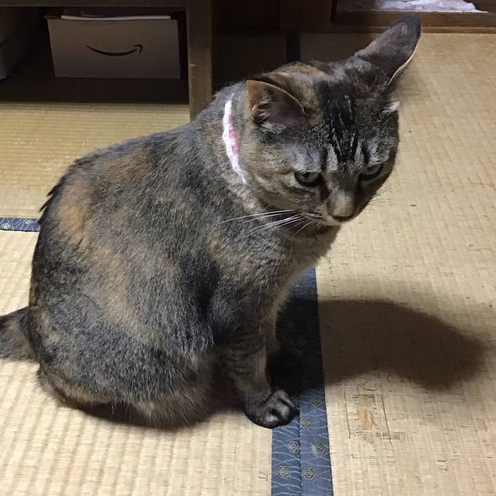 E20fb71b 7ab6 4184 8107 ad8d890f39b1 1720603334964