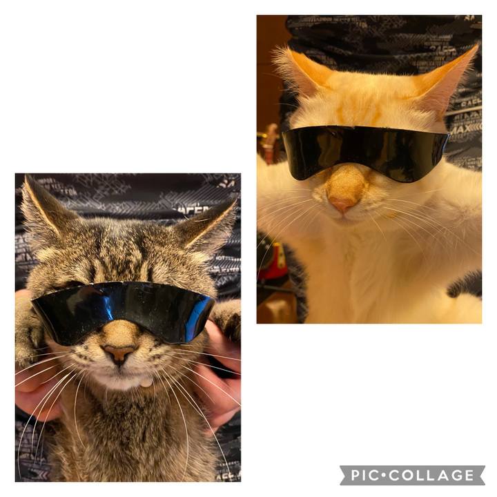 E20fc398 a82a 44de 87cc 98d132784e83 1623483570716