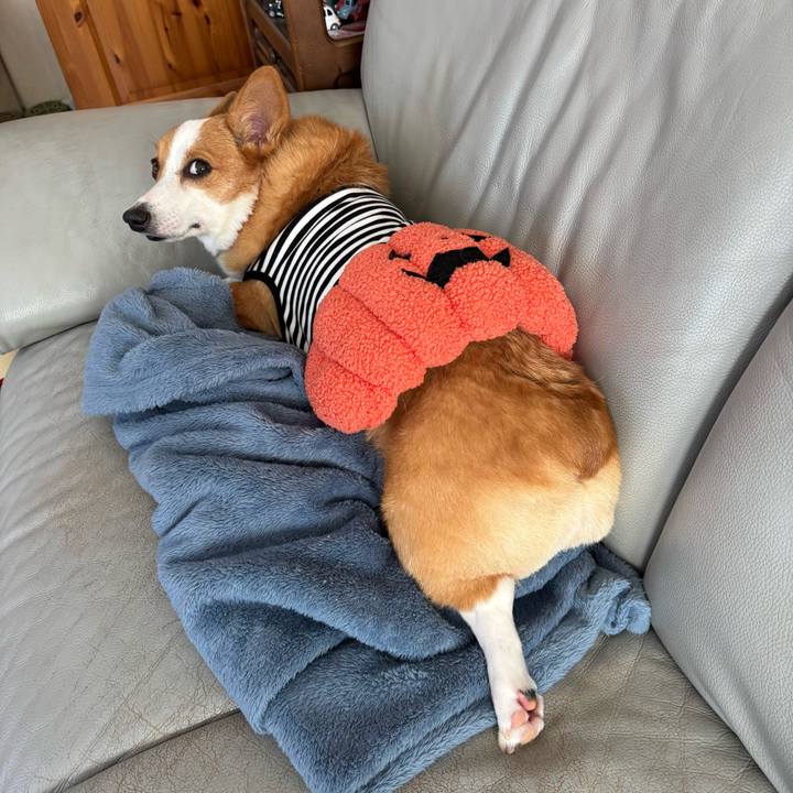 E20fc44a 27e8 4fc9 8308 345420073e1e 1761523521581