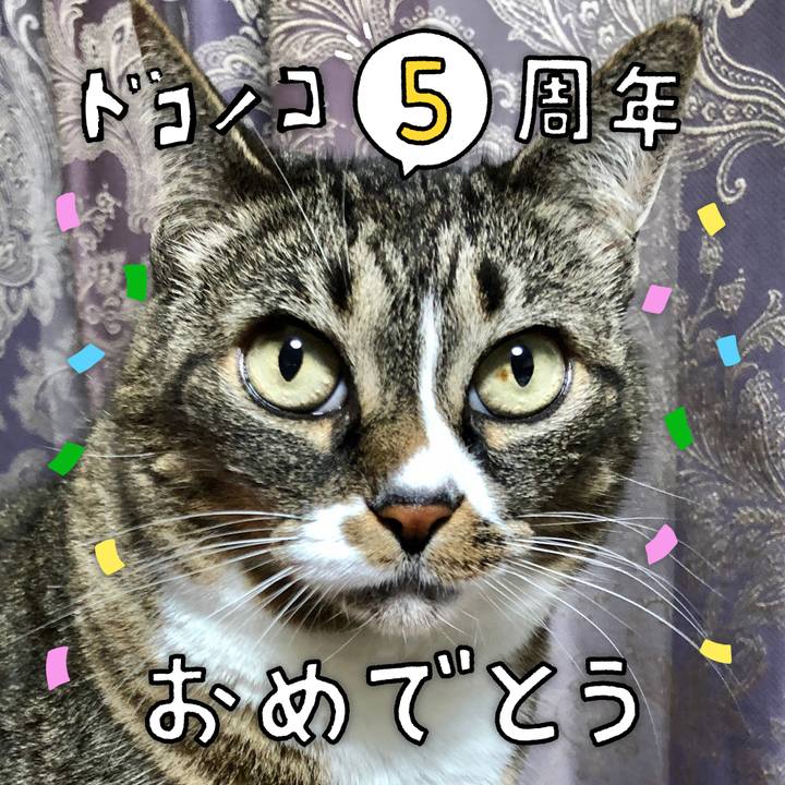 E20ff611 59f2 4fa1 bced 353a200037c6 1622893134311