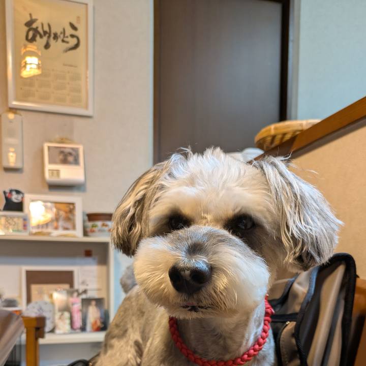 E2100450 76e8 4703 8724 b705471e9241 1759236479769