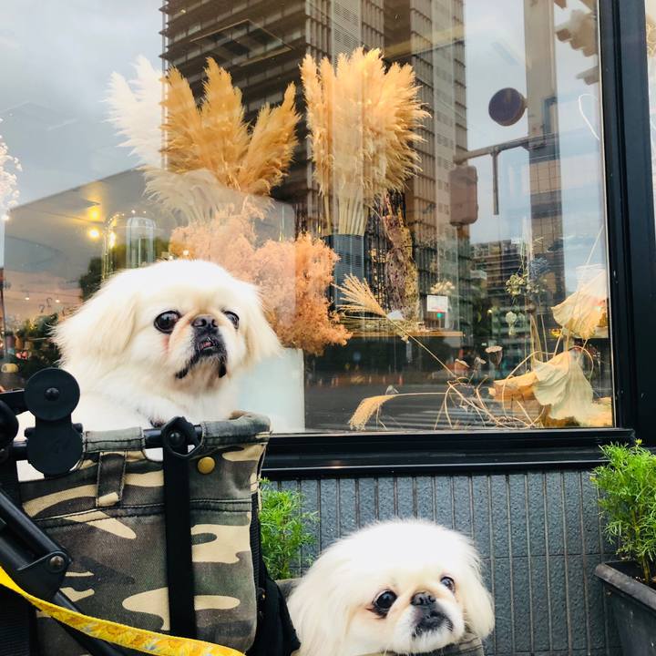 E2101677 aaf0 4e35 acb4 758de4828ab4 1600292709612