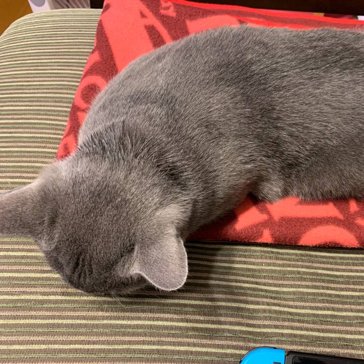 E2101794 a3cd 43f4 8def a8fa5632f2e6 1578648585439