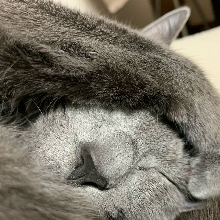 E2102241 7be3 4083 9f98 b0e09b76e1a1 1584776517706