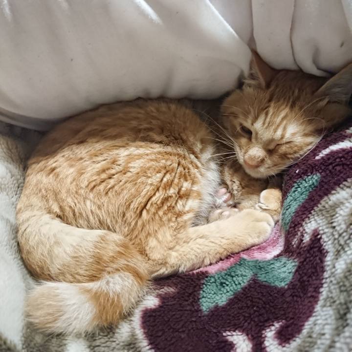 E21041f5 0740 4a0c 8630 b0ddb8cbb9cc 1639916381196