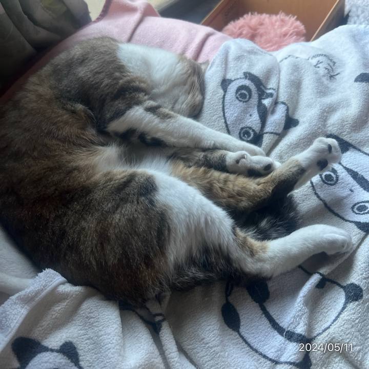 E21049d8 3c73 449d 8af2 790d9b6912ed 1715408788192