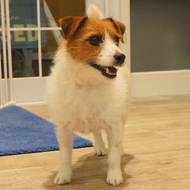 E210ad30 fdaa 4eed a540 dad007c1df36 1544270682431