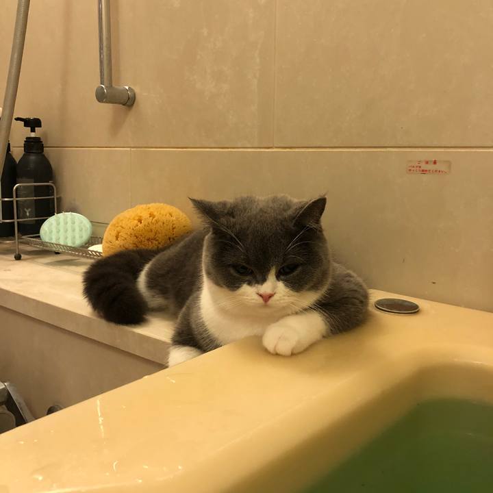 E210b361 95f1 4f05 b92f 7f641207df82 1513564865618