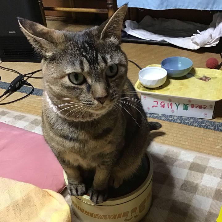 E210d0c2 100a 45dd 9ed0 8feaab73d147 1675512770401