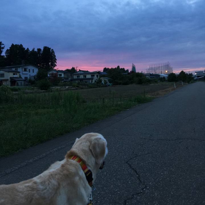 E210e0e5 ed32 4db3 a251 0320408a17d3 1534761289007