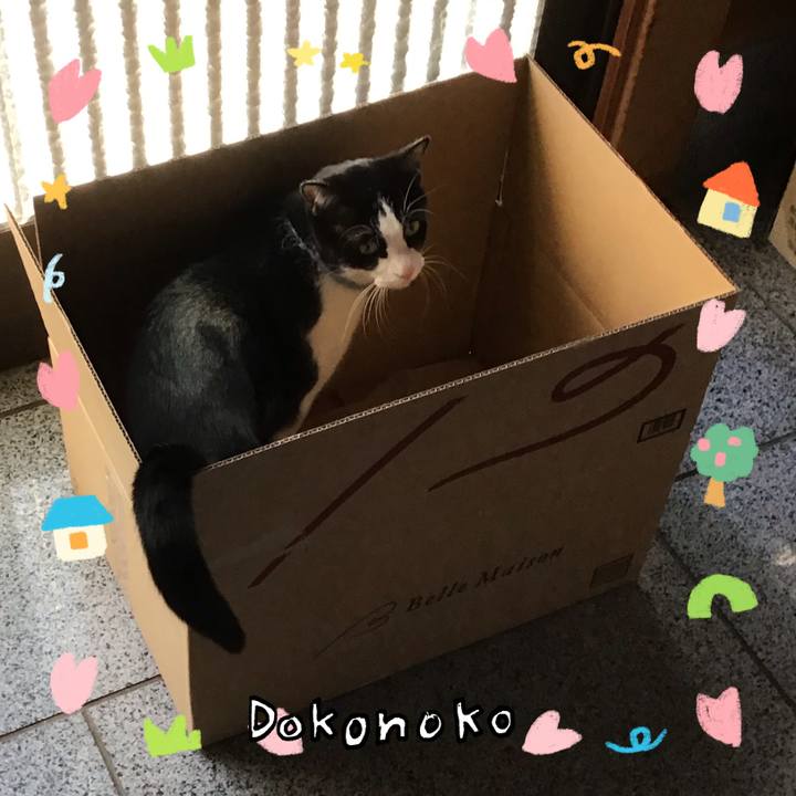 E210f486 425d 423c 88bb e884eb862712 1741328546744