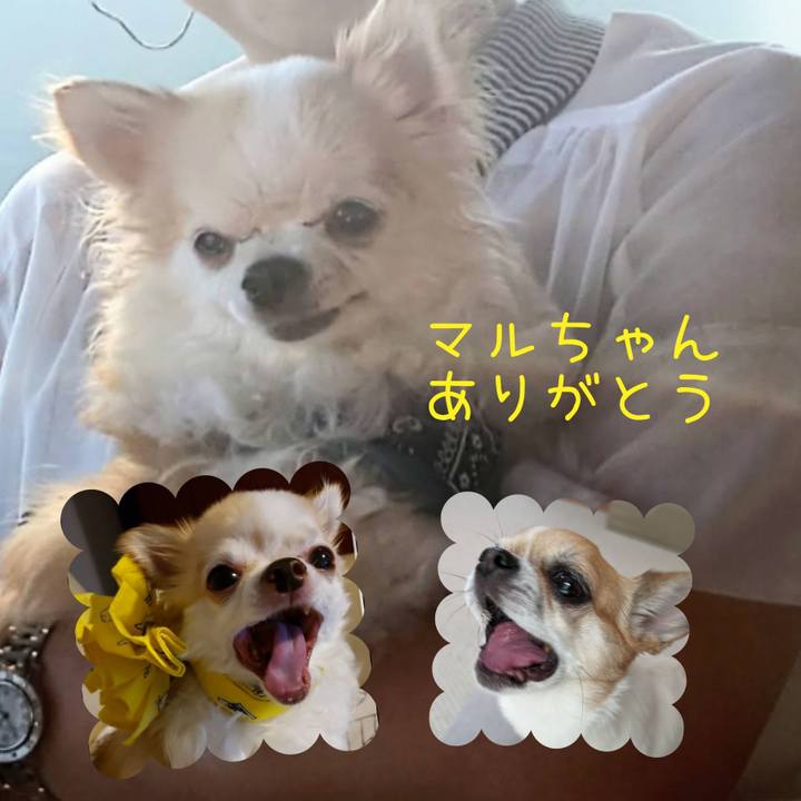 E211439c 0844 46a2 83fc 5a4fbc04047c 1718594286836