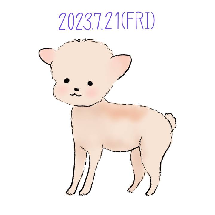 E2116071 64ba 487e 878c 25d341944b5d 1689941290798