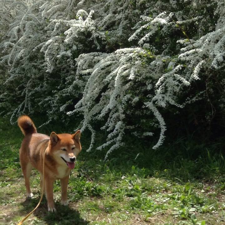 E2116d86 e3f1 4842 a23e 1869c8172a64 1522305729149