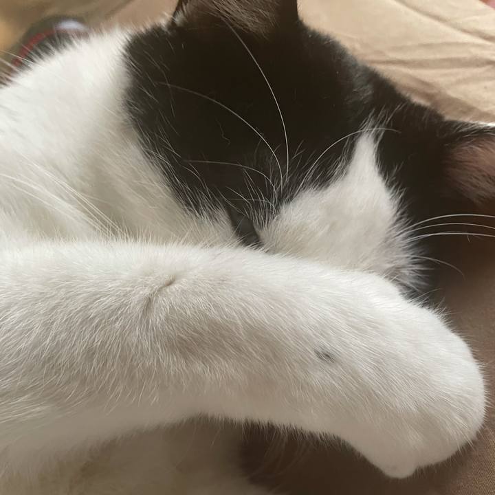 E2117a33 11cc 4bb0 b6fc 54d585c8b70d 1623986861380