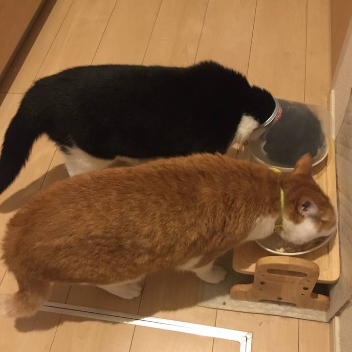 E2118d6e 63f9 45a8 948e 09a844dc11d6 1590148307104