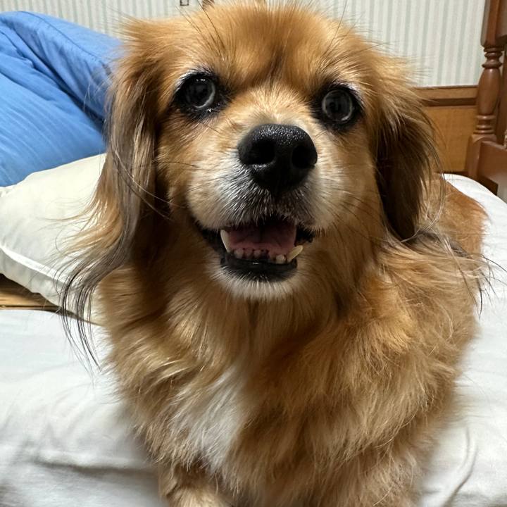 E2119b29 9795 47a4 a9bc 523e2a81c89d 1691878559939