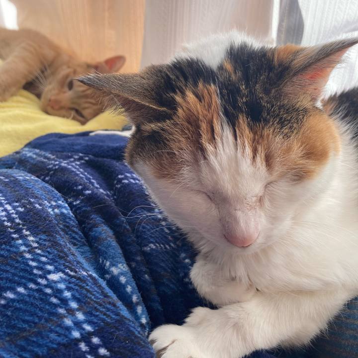 E211c49b 8167 41f3 af53 768532bb4f89 1643098491964