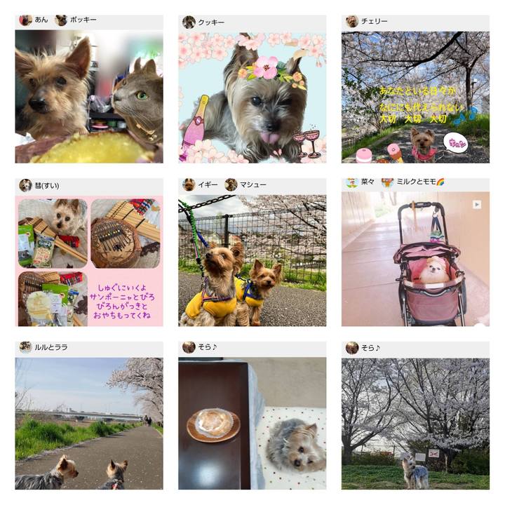 E2120689 1f0d 4147 93ce 1c6ca7d3b9be 1680410841721