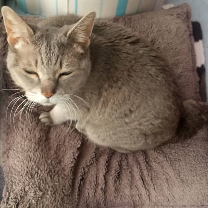 E2121f99 e960 4254 bc9f 3c94c3c02c5a 1684450206052