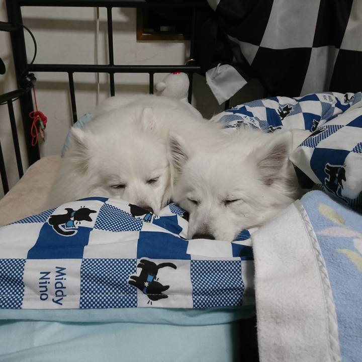 E212233d 2347 4965 998b 4252f52f8e81 1620133380378