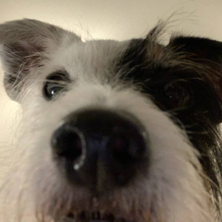 E21248d7 59b7 4d94 b9bd 435be9a7023f 1721560031445