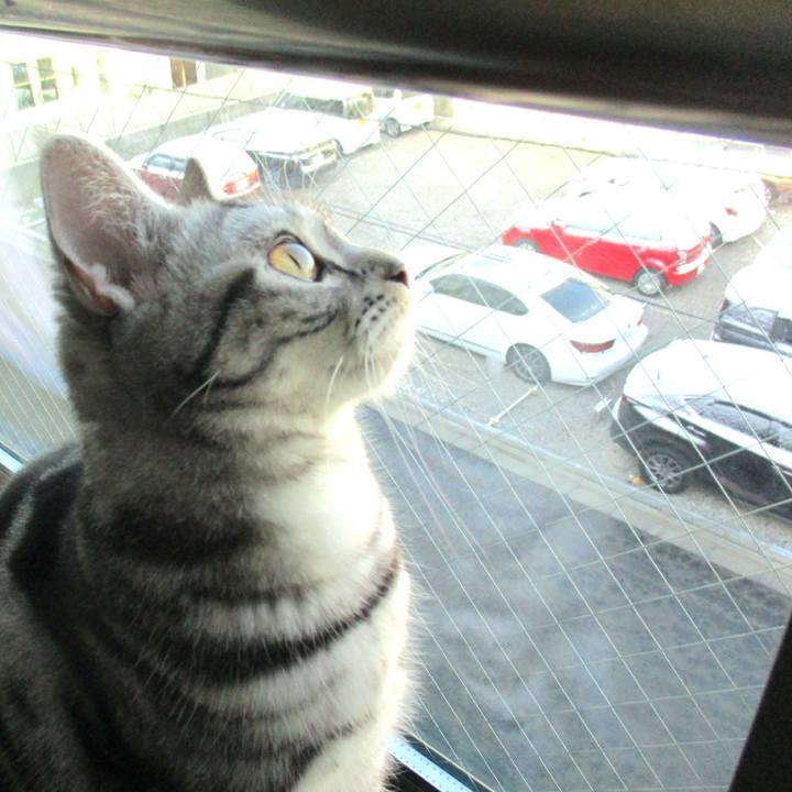 E2125458 0dcc 451c bcf3 b1f0996dd535 1549763930144