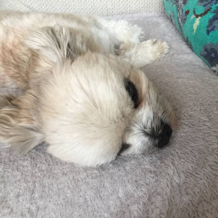 E2127d09 91df 4285 b914 e5d49599b3a6 1527252531326