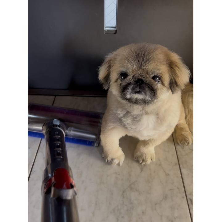 E2128bd0 82a6 45c8 b3e2 71b6bf527b13 1727479887882